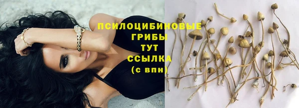 прущая мука Наволоки