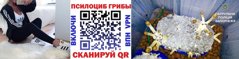 Галлюциногенные грибы мухоморы  Купить  Козельск 